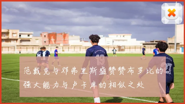 范戴克与邓弗里斯盛赞赞布罗比的强大能力与卢卡库的相似之处